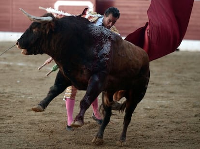 El diestro vasco, de 36 años, fue corneado en el suelo por un astado de Baltasar Ibán. La imagen es antes del momento de la caída del diestro, cuando posteriormente recibe la cornada.