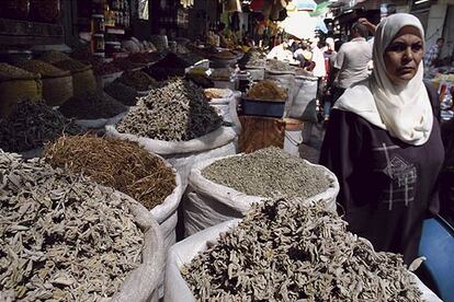 Mercado del pueblo de Gaza.