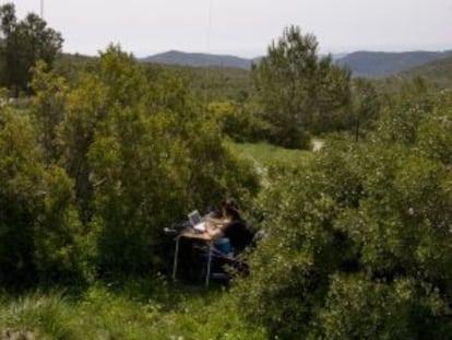 Globo sonda midiendo la presencia de aromas en el bosque.