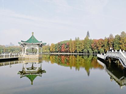 East Lake es uno de los lagos urbanos más grandes de China, con 33 kilñometros cuadrados de superficie de agua, y está salpicado por construcciones típicas y monumentos como el castillo fortaleza Chu. |