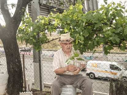 Serafín Bonilla descansa debajo de la parra, junto a la carretera A-5 de Extremadura, en Alcorcón, donde tiene su pequeño huerto.