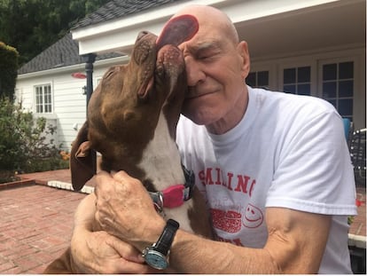 El inolvidable capitán Picard de 'Star Trek' y profesor Xavier en 'X-Men', activista contra la crueldad hacia los animales, se llevó aquí una lluvia de babas por parte de Ginger Gurl, el perro que ha adoptado. El can, por lo que se ve, le está muy agradecido.