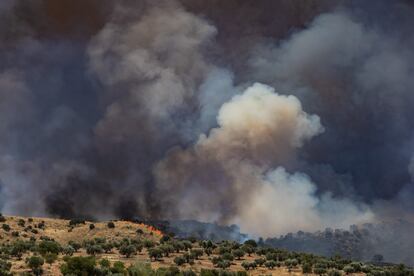 Incendio forestal en la finca Zurraquin, de Toledo capital, cerca del parque temático Puy du Fou.