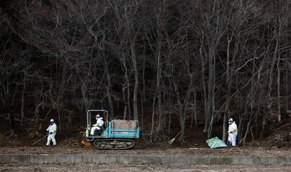 Trabajos de descontaminación en un bosque de Tomioka.