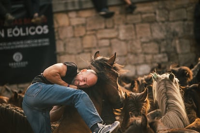 Un hombre sujeta a un caballo, este 6 de julio, durante la Rapa das Bestas.