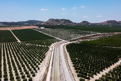 Explotaciones agrícolas a ambos lados del canal de trasvase Tajo-Segura en Alicante, el pasado septiembre.