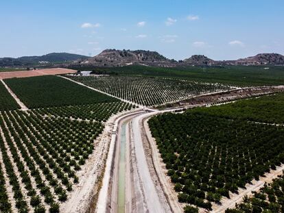 Explotaciones agrícolas a ambos lados del canal de trasvase Tajo-Segura en Alicante, el pasado septiembre.