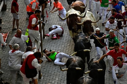 Procedentes de la finca El Palomar, los toros de esta divisa, la mayoría de color negro y con pesos entre los 505 y los 570 kilos, son veloces y tienen fama de nobles, aunque en su última visita a Pamplona, en 2019, dejaron un herido por asta.