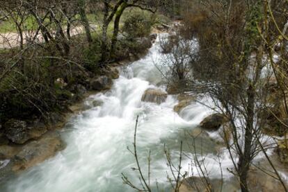Los historiadores y geógrafos discrepan sobre si el nacimiento del río Guadalquivir se localiza en la Sierra de Cazorla (Jaén).