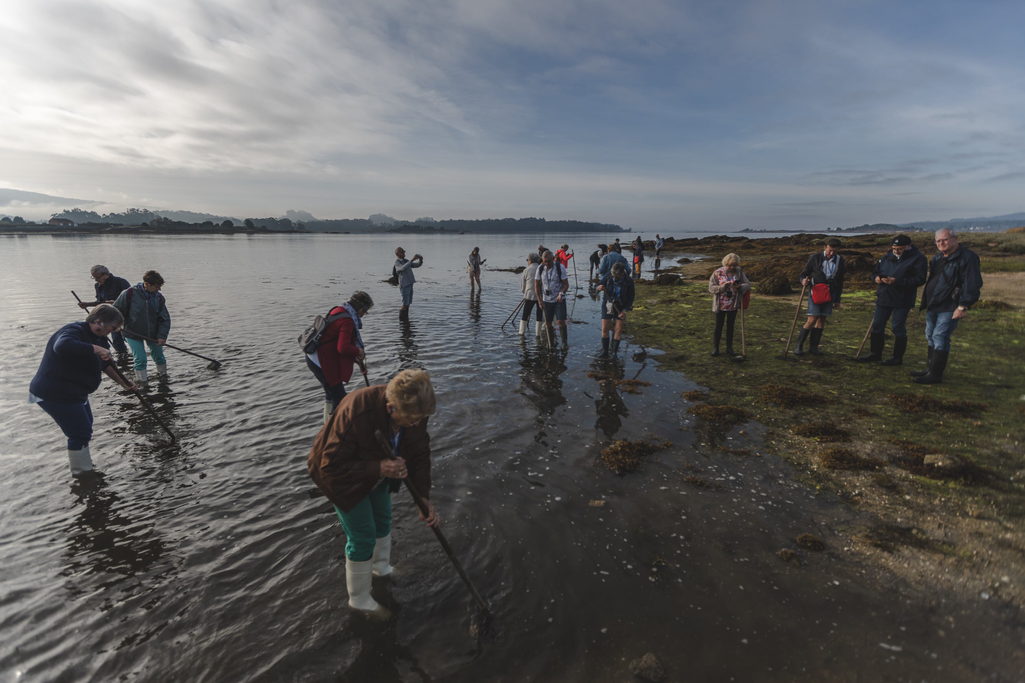 Un grupo de excursionistas francesas extrae almejas y berberechos en la ría de Arousa guiados por una mariscadora.