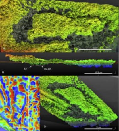 A 3D model of the footprint found in Gibraltar.