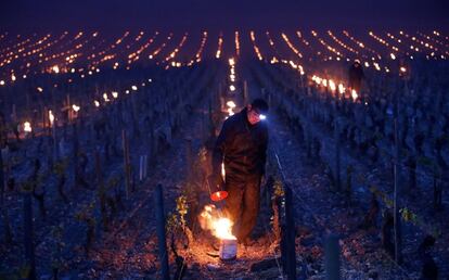 Un viticultor emplea un brasero para proteger sus viñedos de las heladas en Chablis (Francia).