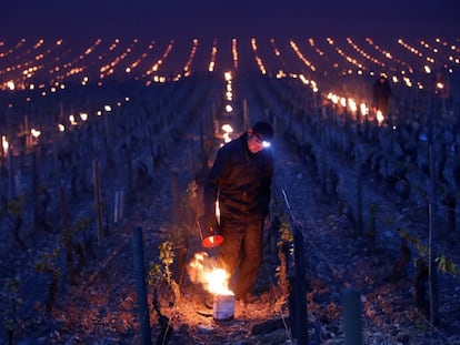 Un viticultor emplea un brasero para proteger sus viñedos de las heladas en Chablis (Francia).