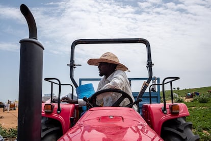 Khamis Shougar, 46 años, posee una granja en Darfur occidental. "Es tan grande como el campo [de refugiados] de Adré", dice orgulloso. Pero tuvo que huir cuando las milicias cercaron sus tierras. Ahora su granja está al cuidado de un amigo y cree que no sufrirá daños porque pagó a algunos milicianos para mantenerla a salvo. "Necesitan que algunos civiles se queden en la ciudad y sus alrededores porque si matan o persiguen a todo el mundo, 
es mucho más fácil para el ejército sudanés bombardearlos", razona sentado en su tractor rojo, nuevo y reluciente, que ahora utiliza para transportar agua y venderla.