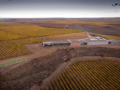 Una bodega en busca de la esencia del verdejo