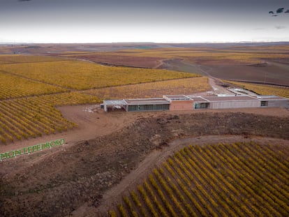 Una bodega en busca de la esencia del verdejo