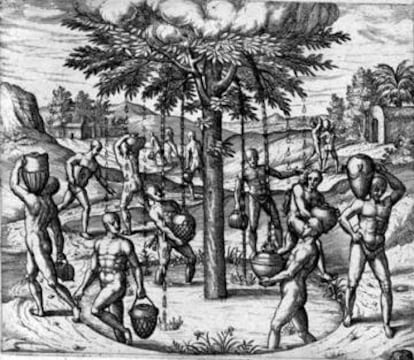 El &aacute;rbol santo en &#039;Peregrinationes&#039; de Th&eacute;odore de Bry (1593)