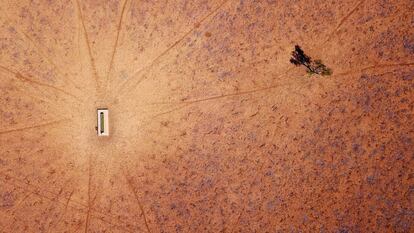 Un árbol solitario se encuentra cerca de un abrevadero en Walgett, Nueva Gales del Sur (Australia).