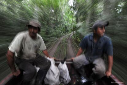 Hoy día todas las gomas de mascar están elaboradas a partir de polímeros derivados del petróleo, pero en la Selva Maya, desde hace más de un siglo, se extrae el chicle del árbol de chicozapote.
