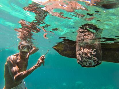 Un buceador enseña la red donde guarda las ostras recogidas. El Triángulo de Coral es conocido también como 'el amazonas marino'. Sus especies marinas (pez napoleón, pepino de mar, langosta, atún, peces de coral y ostras) son muy apreciadas en mercados extranjeros para uso culinario o decorativo para acuarios o coleccionistas.