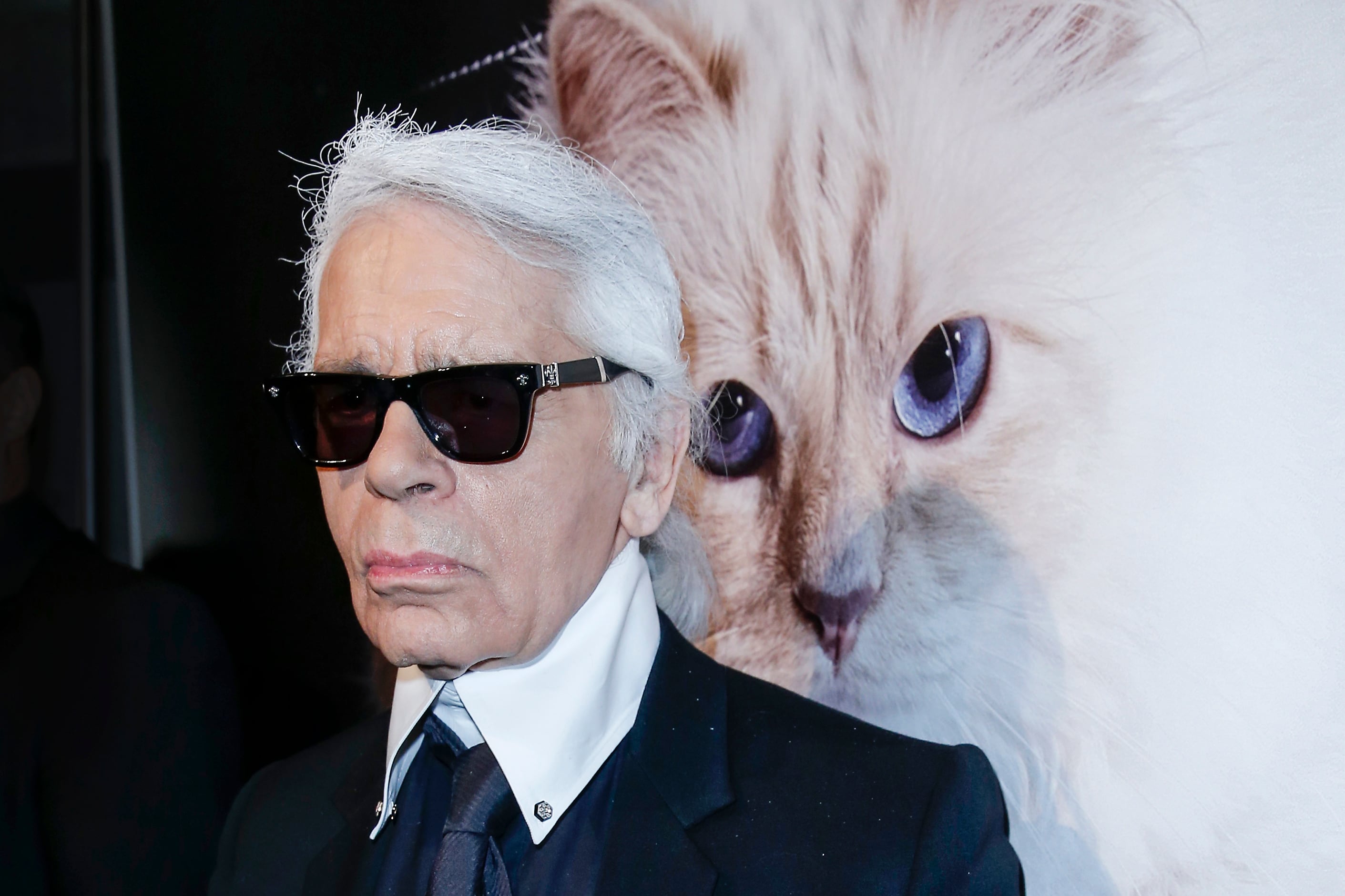 Ni un euro aún para ‘Choupette’: la cuidadora de la ‘aristogata’ de Karl Lagerfeld asegura que no ha recibido su supuesta herencia