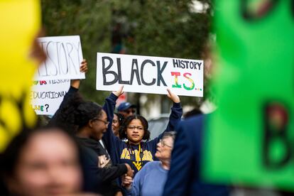 National Action Network demonstration