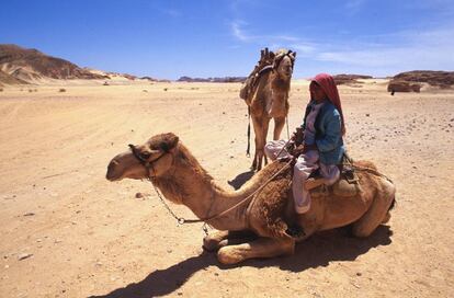 Beduino en el desierto del Sinaí.