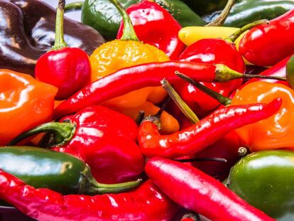 Oda al picante, la alegría de la cocina tradicional