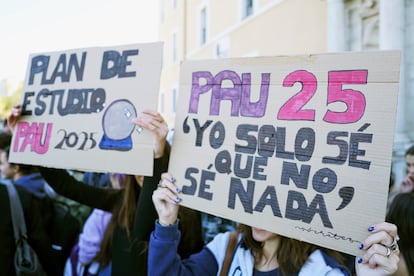 Protesta de estudiantes este viernes en Valladolid. 