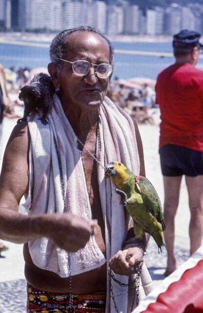 Um homem com um papagaio e um sagui em uma praia no Rio de Janeiro. Em 1988, um macaco se tornou protagonista de notícias políticas no Brasil. O chimpanzé "Tião" do zoológico da cidade, foi proposto como candidato a prefeito pelo Partido Bananista nas eleições municipais de novembro. O que começou como uma piada se tornou uma preocupação para a classe política brasileira e um símbolo do desencanto popular. Ele não ganhou, ficou em quarto lugar.