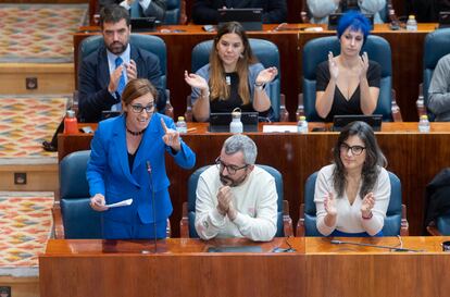 La portavoz de Más Madrid en la Asamblea de Madrid, Mónica García, durante el pleno de este miércoles.