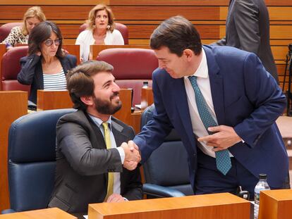 El presidente de la Junta, Alfonso Fernández Mañueco (PP) (d), y el vicepresidente, Juan García-Gallardo (VOX).EFE/ R. García