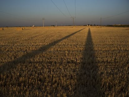La llanura manchega entre Argamasilla de Alba y Cinco Casas (ambas en Ciudad Real).
