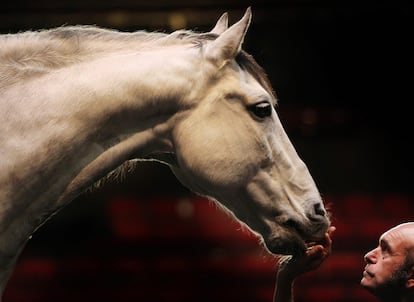 El director e intérprete Bartabas ensaya con el caballo Le Tintoret, de 12 años, sobre el escenario del Sadler's Wells Theatre de Londres. Bartabas y Ko Murobushi estrenan esta noche el espectáculo 'Centaur and the animal', que presenta a cuatro caballos con el más refinado adiestramiento.