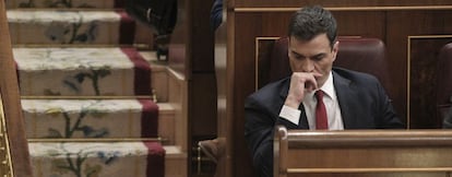 Pedro S&aacute;nchez.