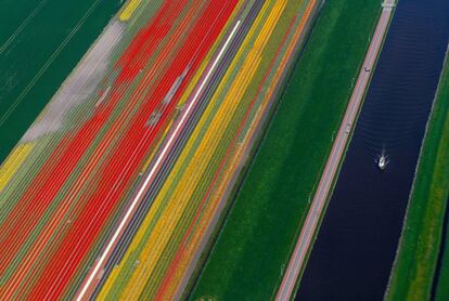 Vista aérea de unos campos de flores cerca del parque Keukenhof, también conocido como el Jardín de Europa, en Lisse, Países Bajos.