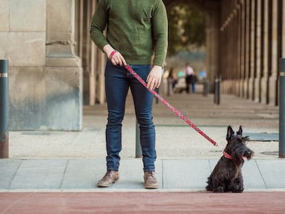 Collares ‘prêt-à-porter’ para perros y amos con estilo