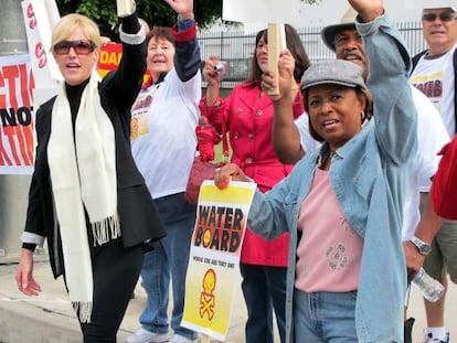 Erin Brockovich, durante una manifestaci&oacute;n en 2011.