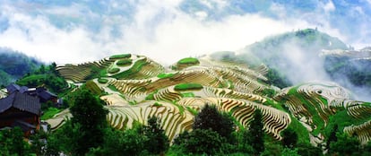 Os terraços do cultivo de arroz na China estão localizados principalmente na cordilheira ao sul do rio Yangtze. Nesta área, há chuvas abundantes e terrenos muito montanhosos. Na foto, arrozais no condado de Longsheng, no sul da China. Os povos antigos que viviam na área montanhosa criaram o padrão de terraços de acordo com as condições locais. Por centenas de anos, os terraços construídos ao longo das montanhas não só melhoraram as condições agrícolas locais, mas também aumentaram a produção de grãos. Além disso, eles são benéficos para a ecologia da área montanhosa e fizeram grandes contribuições para o desenvolvimento sustentável da agricultura na China.