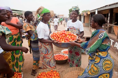 Un grupo de vendedoras de tomates en el mercado principal de Dapaong, en Togo.