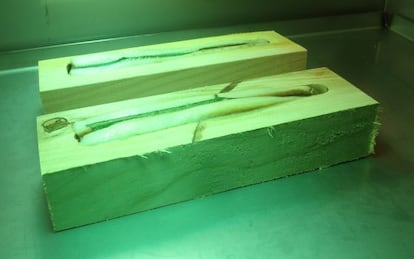 Cajas de madera de cerezo dentro de un horno de rayos UVA, en las que se cocinan los lomos de trucha introducidos en su interior. 