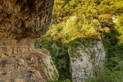 Horadada por los torrentes salvajes del río Viescas, esta garganta constituye toda una llamada a la imaginación de los más pequeños,  a través de una senda algo exigente  de unos seis kilómetros en busca de las míticas ninfas del agua asturianas (la xana es el hada asturiana por excelencia; vive desde siempre en las cuevas de los ríos y en las fuentes). Es un camino espectacular, muy divertido para la vista, que discurre entre paredes que se disparan 500 metros al cielo y hayedos donde se enganchan nieblas que nos evocan cuentos de hadas.