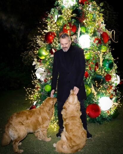 Junto a sus perros 'Pancho' y 'Max', Miguel Bosé dio la bienvenida a la Navidad en el jardín de su casa de Ciudad de México. El cantante compartió varias fotografías y vídeos de la decoración en sus redes sociales.