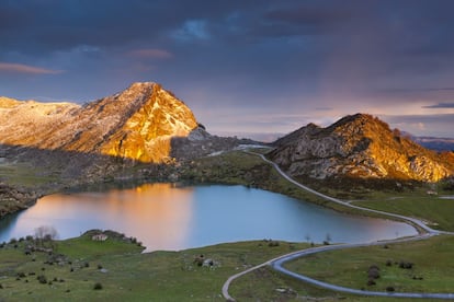 Es el primer parque nacional de España, en la cordillera Cantábrica, entre Asturias, León y Cantabria; se creó el 22 de julio de 1918 y al principio se llamó Parque Nacional de la Montaña de Covadonga. Sus menos de 17.000 hectáreas iniciales suman actualmente 67.127 gracias a dos ampliaciones (1995 y 2014). Los Picos de Europa presentan la mayor formación caliza de la Europa atlántica. Entre sus riscos habita el rebeco; en sus bosques, corzos, lobos y, ocasionalmente, algún oso; en sus cielos reinan el buitre leonado y el águila real. Es uno de los más visitados.