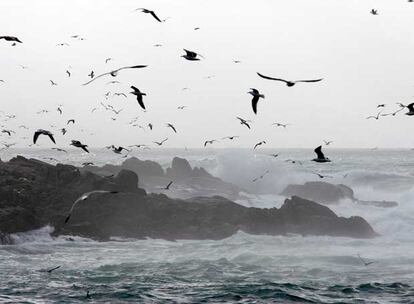 Las olas sacuden las rocas de la zona de San Pedro en A Coruña. Además de Galicia, Asturias, Cantabria y el País Vasco se encuentran en alerta ante la previsión de rachas superiores a los 130 kilómetros por hora.