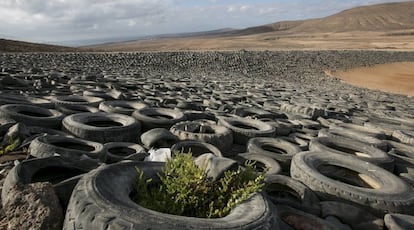 Tires at the Zurita plant in Fuerteventura.