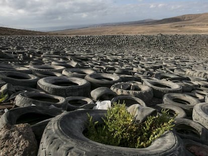 Neumáticos en el complejo medioambiental de Zurita, en Fuerteventura.