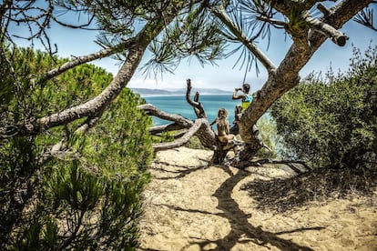 Un tramo del sendero de la Torre del Tajo, en el parque natural de la Breña y Marismas del Barbate (Cádiz).