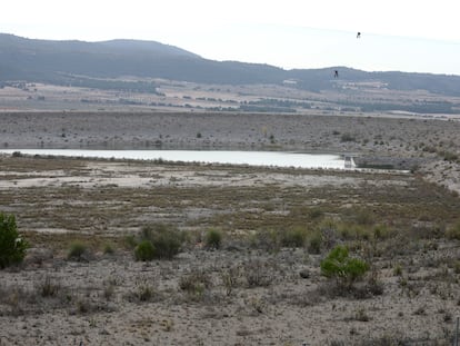 La Balsa de San Diego, en Villena, prácticamente seca.