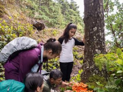 Escuelas para abordar la crisis climática